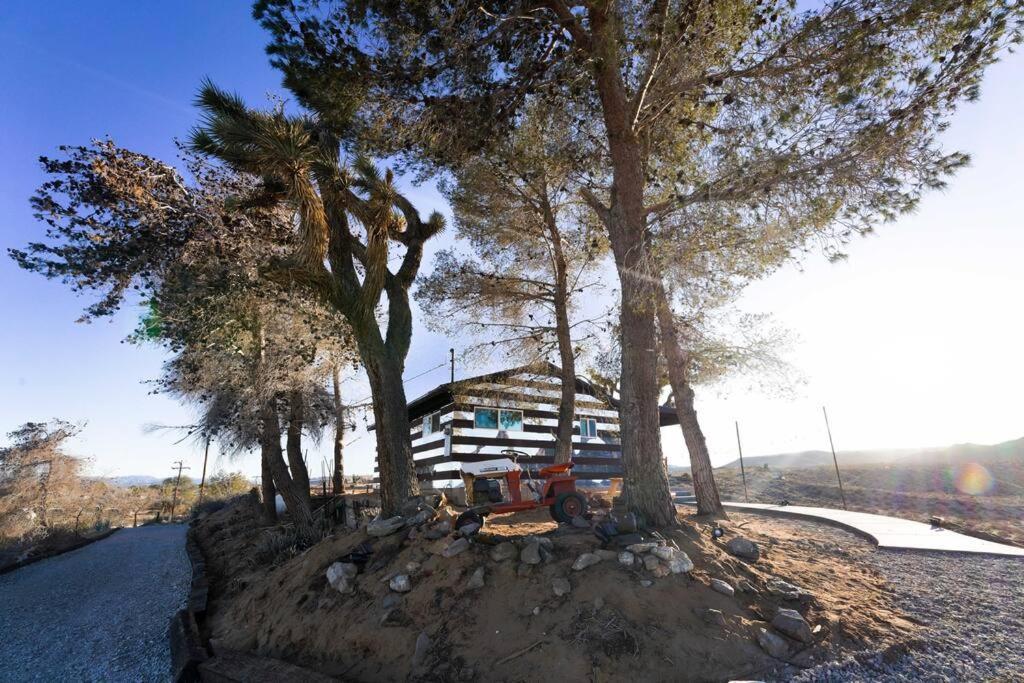 The Invisible Wind Cabin- Joshua Tree Amazing View 尤卡谷 外观 照片